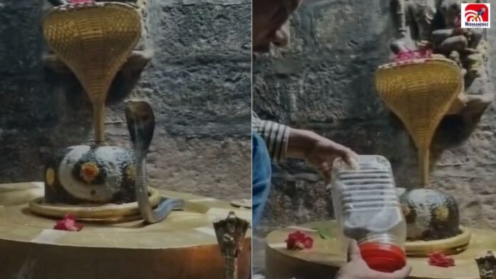 ujjain