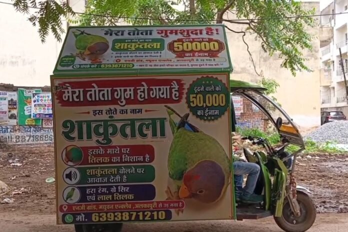 vikash@Nishaanebaz.com - 2026-08-01T143129.812