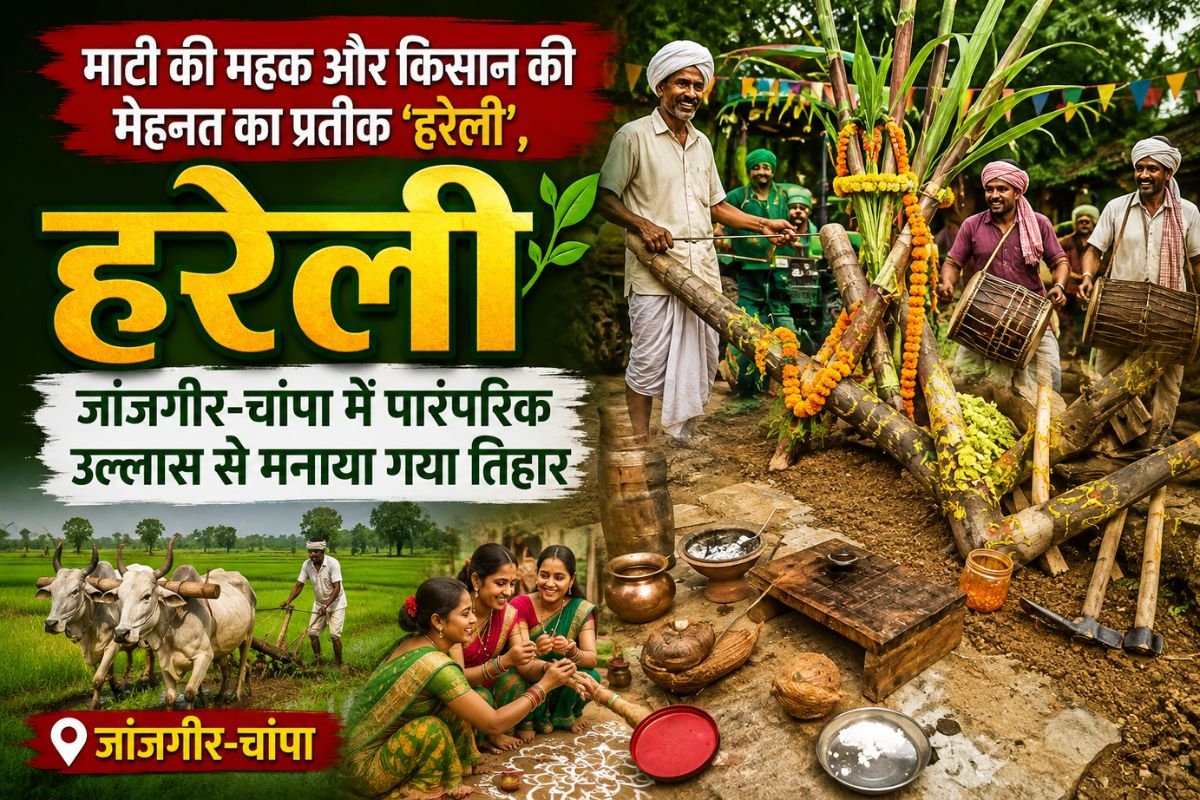 Janjgir Champa Local News Hareli Updates: सावन की हरियाली के बीच जांजगीर में हरेली का उत्साह, पशुधन और कृषि उपकरणों का हुआ विधि-विधान से पूजन