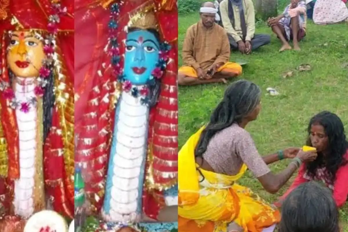 Jashpur Sitonga Nag Darbar Nag Panchami Traditions: जशपुर के सिटोंगा में सजता है अनोखा ‘नाग दरबार’: नागपंचमी पर पूजा के दौरान सर्प की भांति हरकतें करने लगते हैं श्रद्धालु