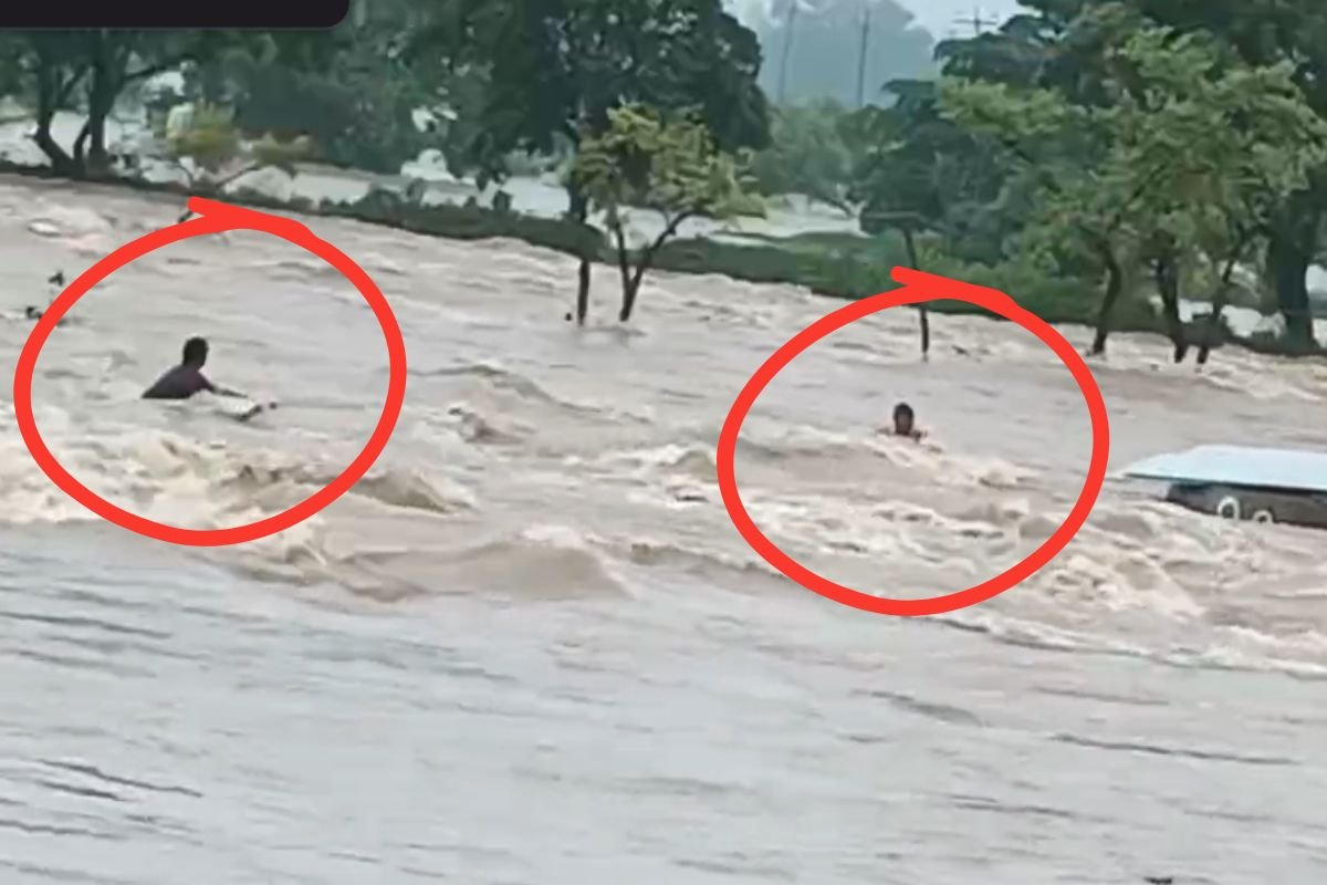 Mauganj Flood Disaster & Admin Failure: मऊगंज में सिस्टम की नाकामी: 2 घंटे तक उफनती नदी में जिंदगी की भीख मांगता रहा मजदूर, तमाशबीन बना रहा प्रशासन