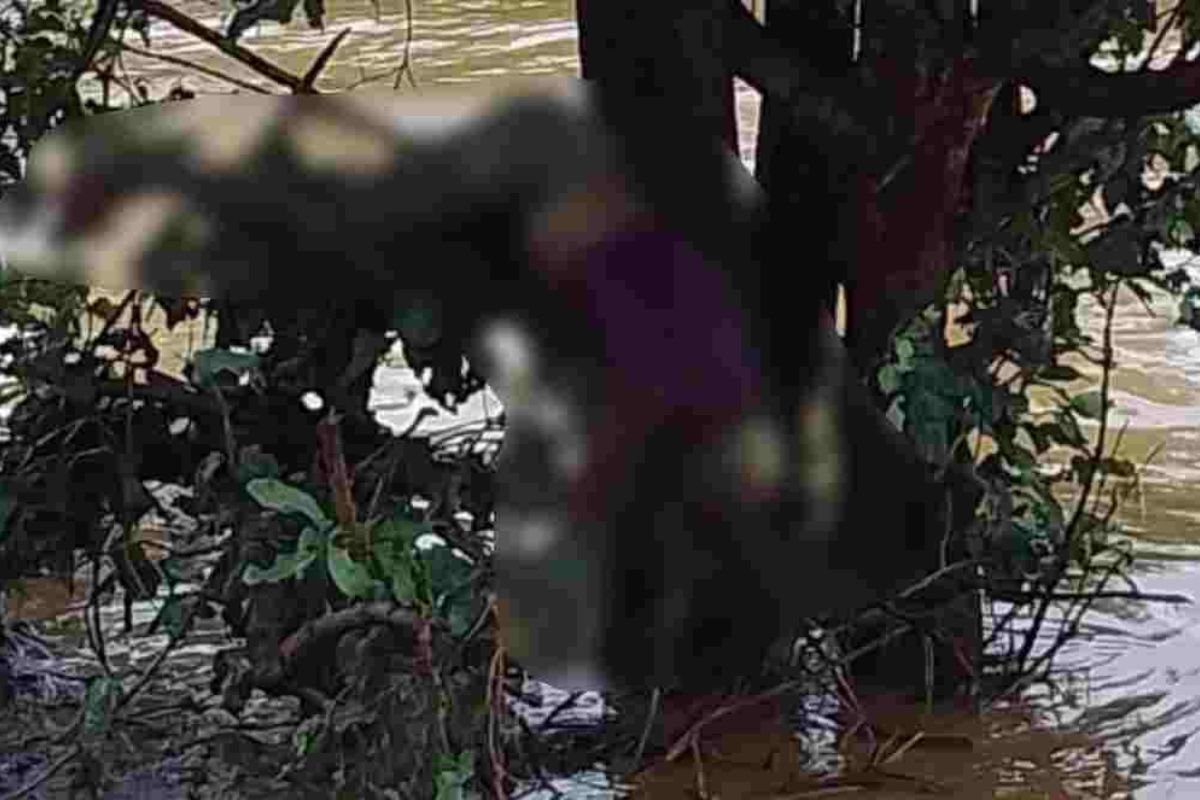 Shahdol Banas River Unidentified Body News: तेज बारिश के बीच बनास नदी में बहकर आया अज्ञात शव: पेड़ की टहनियों में फंसा मिला, इलाके में मचा हड़कंप