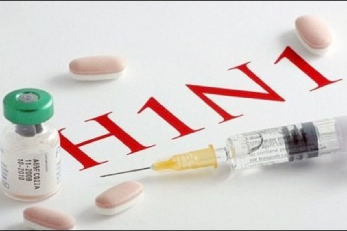 Bhopal Swine Flu H1N1 Alert: भोपाल में स्वाइन फ्लू की दस्तक, 6 मरीज मिलने से हड़कंप! सरकारी और निजी अस्पतालों में OPD 10 हजार पार
