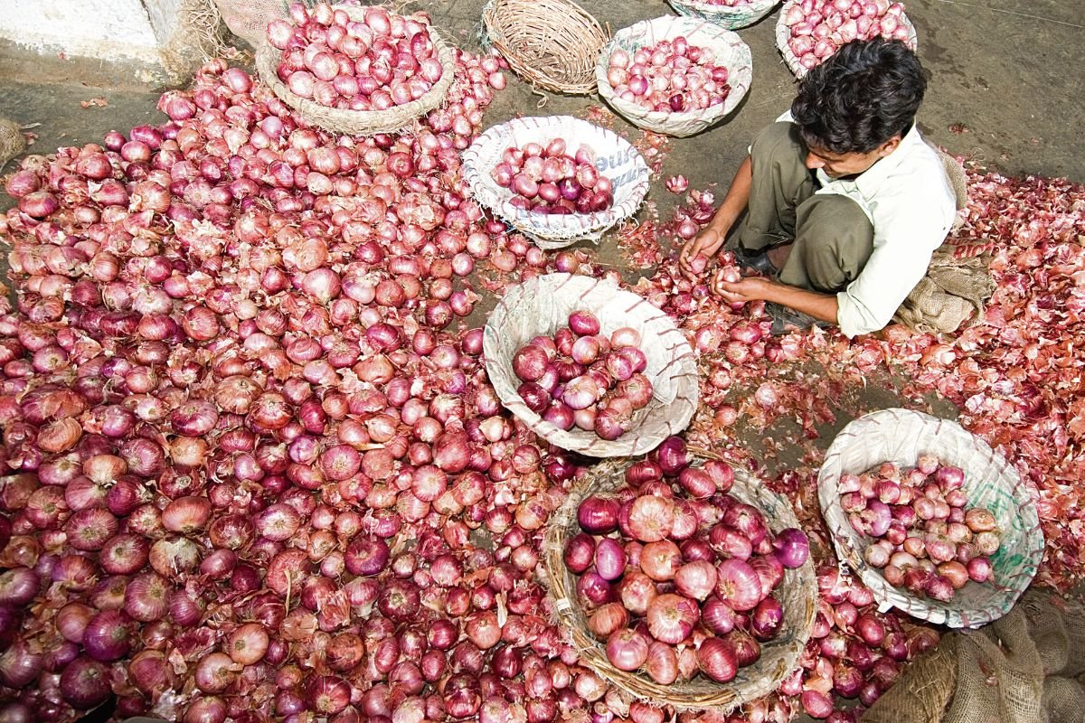 Onion Price Surge Ahead Of Festive Season: चीनी के बाद अब प्याज के दाम भी बेकाबू: एक महीने में 17% तो सालभर में 42% तक उछले रेट, 60 रुपये/किलो पहुंचे दाम