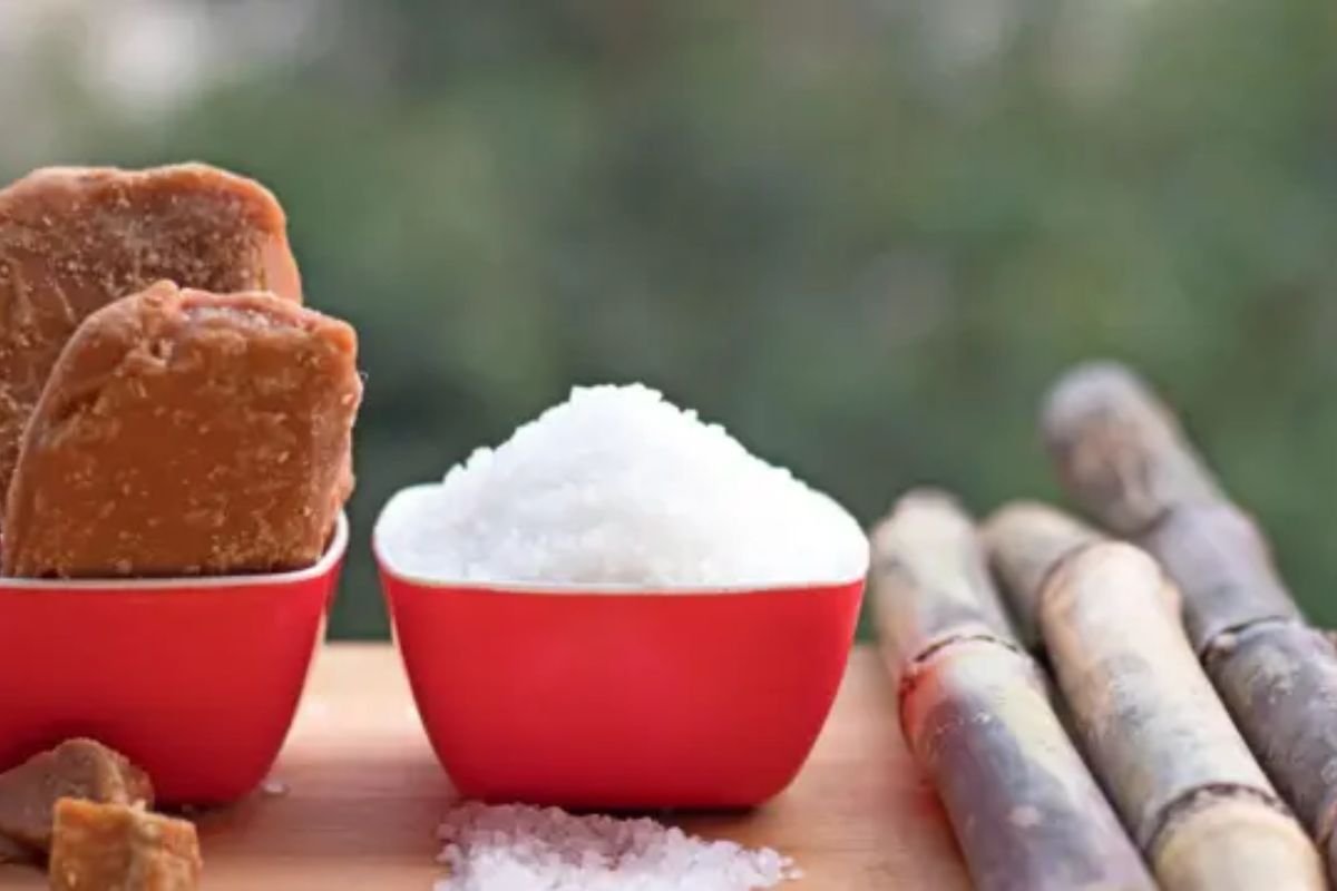 Alternative Sugar Options And Price Comparison: गन्ने के अलावा इन चीजों से भी बनती है चीनी: जानिए कौन सा विकल्प जेब पर कितना भारी