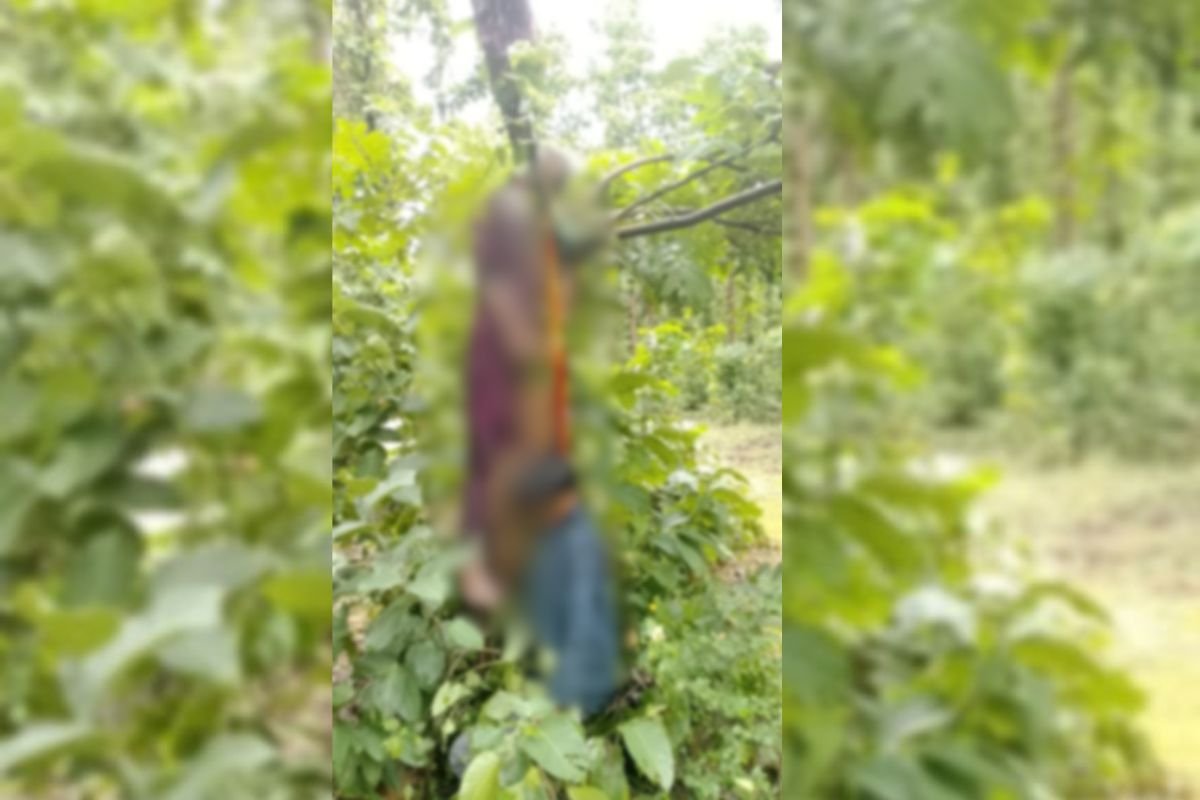 Surajpur Lovers Suicide Case Latori: सूरजपुर में प्रेमी जोड़े ने की खुदकुशी: कोटबहरा के जंगल में एक ही दुपट्टे से फांसी पर लटके मिले शव