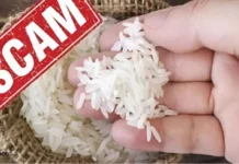 Balaghat Rice Scam: बालाघाट चावल घोटाला 17 ट्रक से शुरू हुई जांच में बड़ा खुलासा, राजकुमार कावरे गिरफ्तार; SIT ने कोर्ट में दाखिल की चार्जशीट