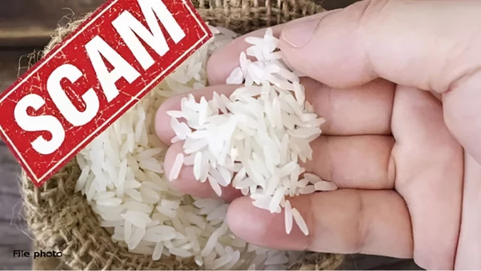 Balaghat Rice Scam: बालाघाट चावल घोटाला 17 ट्रक से शुरू हुई जांच में बड़ा खुलासा, राजकुमार कावरे गिरफ्तार; SIT ने कोर्ट में दाखिल की चार्जशीट