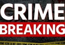 Bilaspur Crime: पुलिस आरक्षक ने की ये गलती, विभाग ने दे दी अनिवार्य सेवानिवृत्ति Bilaspur Crime