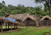 Chhattisgarh Unique Village: छत्तीसगढ़ में अनोखी परंपरा: यहां नहीं होती पत्थर की मूर्तियों की पूजा, कई देवगुड़ियों में महिलाओं के प्रवेश के भी अलग नियम Chhattisgarh Unique Village