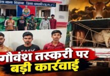 Dhamtari Crime: गौ तस्करी पर पुलिस की बड़ी कार्रवाई, मवेशियों से भरी पिकअप जब्त; तीन आरोपी गिरफ्तार Dhamtari Crime