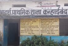 Janjgir-Champa News: कन्हाईबंद के स्कूल में आठ में से छह शिक्षक नदारद, मध्यान्ह भोजन भी नहीं बना, डीईओ ने जांच के बाद कार्रवाई का दिया आश्वासन Janjgir-Champa News