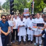 Smart Meter Congress Protest: