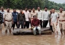 Gariaband News:‘पुष्पा’ स्टाइल में सागौन तस्करी का खेल: नदी के बहाव से ओडिशा भेज रहे थे लकड़ी, 3 तस्कर गिरफ्तार Gariaband News