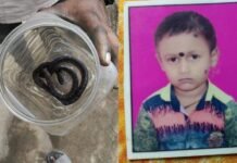 Bilaspur News: बिस्तर में छिपे जहरीले सांप ने 10 साल के बच्चे को डंसा, इलाज के दौरान मौत; परिवार में पसरा मातम Bilaspur News