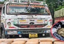 DRI Action: नशे के खिलाफ DRI का बड़ा ऑपरेशन: रायपुर में 500 किलो गांजा जब्त, पटना में टीम पर हमला; देशभर में 13 गिरफ्तार DRI Action