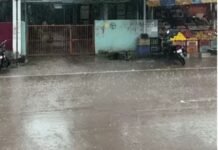 Chhattisgarh Weather: रायपुर में गरज-चमक के साथ तेज बारिश, छत्तीसगढ़ में अगले 4 दिन मौसम खराब; 80 किमी प्रति घंटे की रफ्तार से चल सकती हैं हवाएं Chhattisgarh Weather