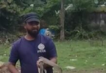 Reva News: स्कूटी के हैंडल में घुसा 8 फीट लंबा सांपः रीवा में सर्पमित्र ने पूंछ खींचकर निकाला; मालिक बोला-अब बैठने में भी डर लगेगा Reva News: