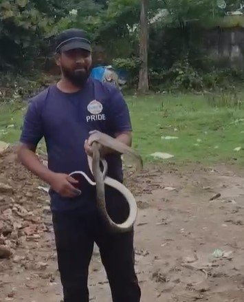 Reva News: स्कूटी के हैंडल में घुसा 8 फीट लंबा सांपः रीवा में सर्पमित्र ने पूंछ खींचकर निकाला; मालिक बोला-अब बैठने में भी डर लगेगा