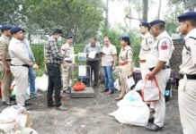 Raipur News: रायपुर में नशे के खिलाफ बड़ी कार्रवाई, 2.15 करोड़ से अधिक कीमत का गांजा समेत मादक पदार्थ नष्ट Raipur News