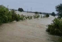Chhattisgarh Rain: छत्तीसगढ़ में बारिश का कहर! गांव बने टापू; स्कूल और परीक्षा बंद, 28 जिलों में अलर्ट Chhattisgarh Rain
