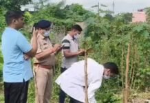 Raigarh Crime: रायगढ़ में युवक की निर्मम हत्या, सिर कुचलकर उतारा मौत के घाट; नशे के दौरान विवाद की आशंका Raigarh Crime