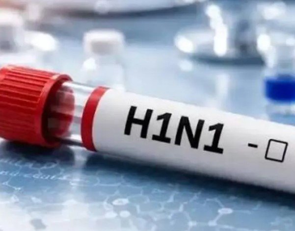 CG Swine Flu: छत्तीसगढ़ में स्वाइन फ्लू के 170 के करीब मरीज, रायपुर में 73 संक्रमित, 9 जिलों तक फैला संक्रमण