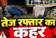 Accidents News: रफ्तार का कहर: कार की टक्कर से साइकिल सवार की मौत, पुलिया से पलटी सीमेंट लदी ट्रक Accidents News: