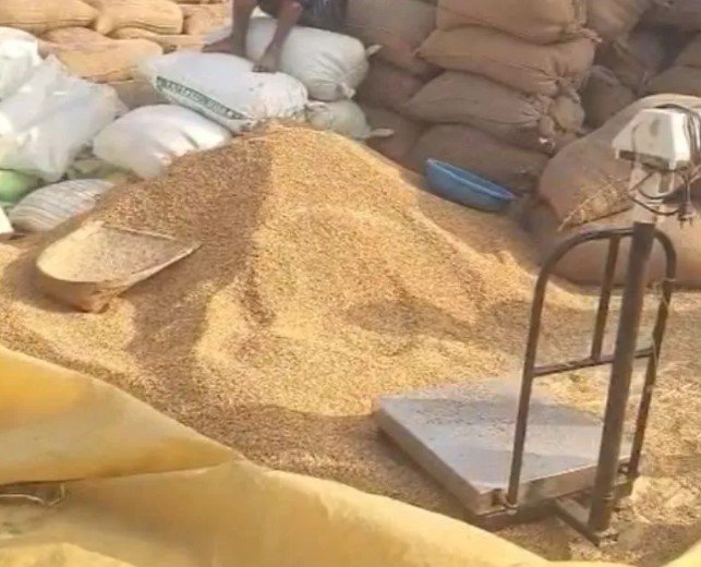Khairagarh News: किसानों को बड़ी राहत, इस जिले में खुलेंगे 21 नए धान खरीदी केंद्र