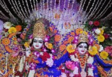 Krishna Janmashtami: रायपुर में कृष्ण जन्माष्टमी की धूम, मंदिरों में भव्य आयोजन; कहीं 11 क्विंटल मालपुए का भोग तो कहीं 101 लीटर दूध से अभिषेक Krishna Janmashtami
