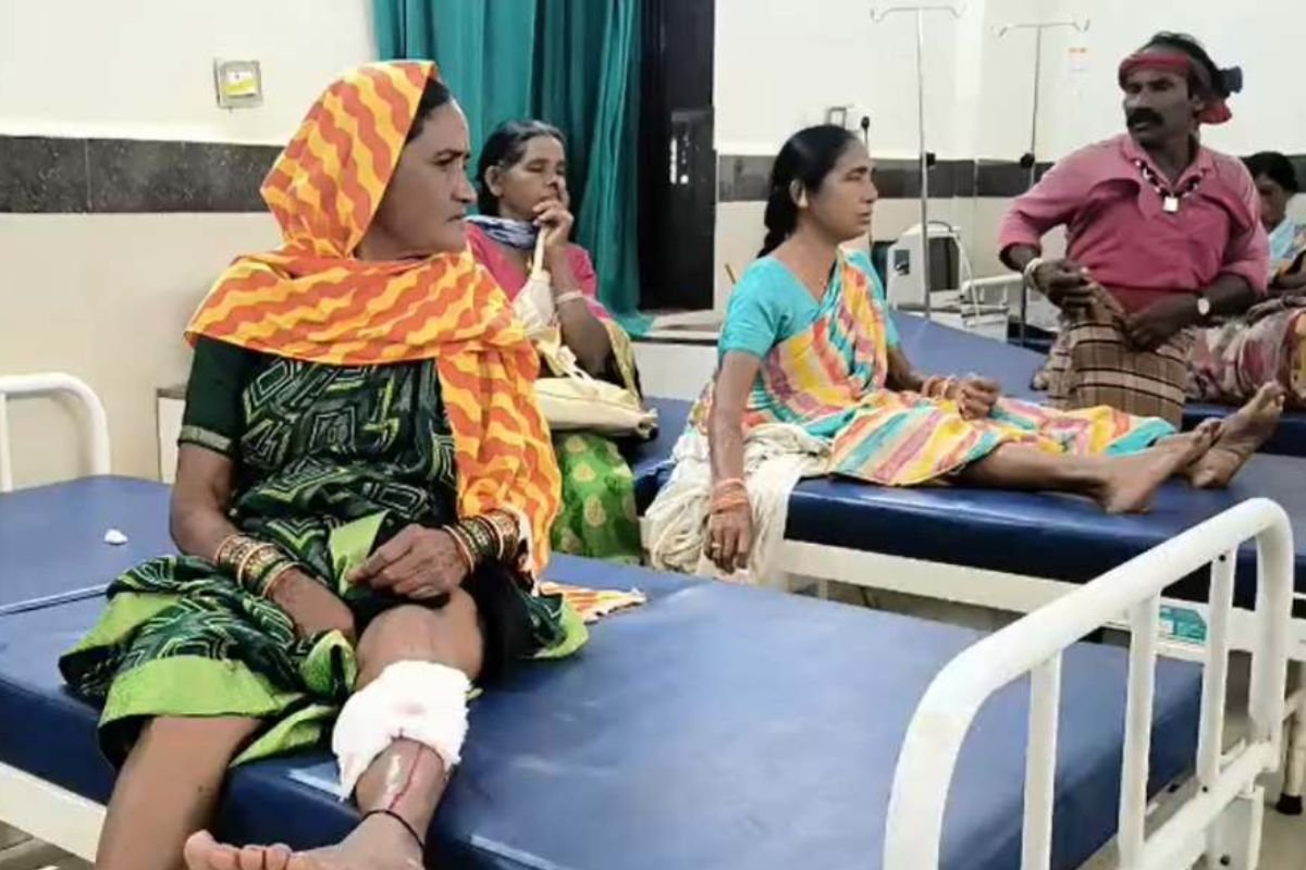 Balod Stray Dog Attack News Daundi Lohara: बालोद के डौंडीलोहारा में आवारा कुत्ते का आतंक, 13 लोगों को काटकर किया जख्मी, तीन की हालत गंभीर