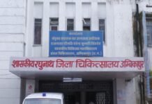 Surguja Leptospira Scrub Typhus Outbreak: उत्तर छत्तीसगढ़ में जानवरों से फैलने वाले संक्रमण का खतरा; सरगुजा में 72 मरीज मिले पॉजिटिव