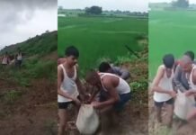 Rewa Konikalan Health Crisis: रीवा में बदहाल सड़क ने रोकी एंबुलेंस, बीमार बच्चे को पोटली में बांधकर 3 KM पैदल चले ग्रामीण