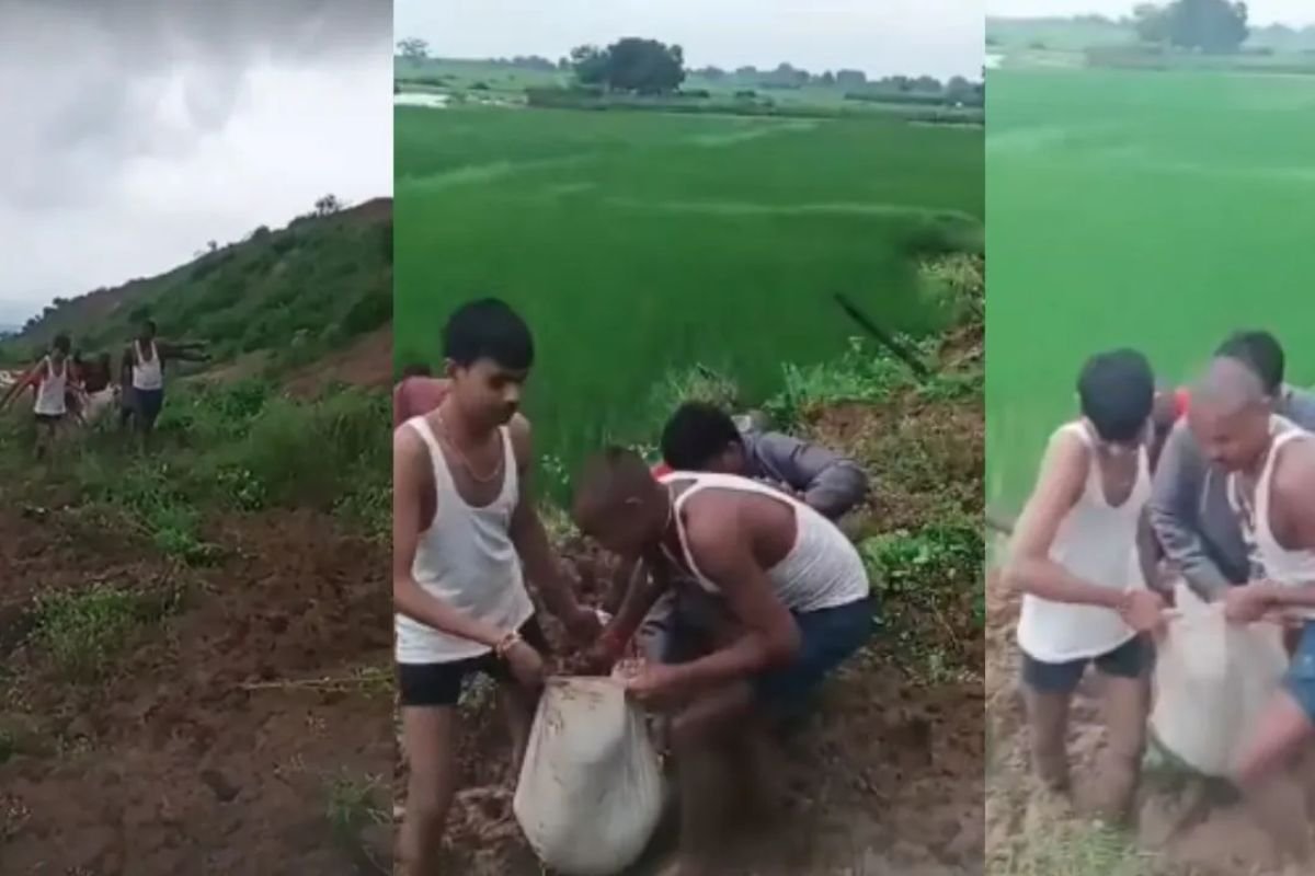 Rewa Konikalan Health Crisis: रीवा में बदहाल सड़क ने रोकी एंबुलेंस, बीमार बच्चे को पोटली में बांधकर 3 KM पैदल चले ग्रामीण