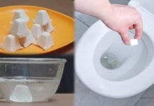 DIY Toilet Cleaning Tablet Recipe: अब महंगे केमिकल से मिलेगी मुक्ति; घर पर बनाएं 1 घरेलू टैबलेट, मिनटों में चमकेगा टॉयलेट कमोड
