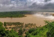 CG Weather IMD Monsoon Heavy Rain Alert: 10 सितंबर से छत्तीसगढ़ में बढ़ेगी मानसून की रफ्तार; IMD ने 16 जिलों में जारी किया अलर्ट