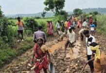 MP Jabalpur News 2026 Bargi Dam Oustees: 35 वर्षों से जर्जर संपर्क मार्ग, दुर्गा नगर के ग्रामीणों ने खुद बजरी-पत्थर बिछाकर तैयार की सड़क