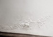 Wall Salt Powder Moisture Efflorescence Solutions: दीवारों से सफेद पाउडर और पपड़ी उखड़ने का असली कारण ‘एफ़्लोरेसेंस’, जानिए कैसे करें परमानेंट बचाव