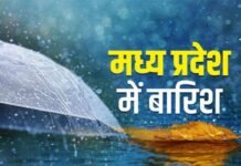 MP Weather Monsoon Update: निवाड़ी और मऊगंज में रिकॉर्ड बारिश, पश्चिमी मध्य प्रदेश में आंकड़ा पिछड़ा