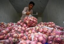 Onion Price Hike Crisis: रसोई का बजट बिगाड़ रही प्याज, सालभर में 95 फीसदी तक बढ़ चुके हैं खुदरा दाम