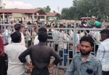 Barwani Mandi Cotton Price Protest: राजघाट मंडी में कपास के कम दाम पर हंगामा, किसानों ने गेट बंद कर किया प्रदर्शन