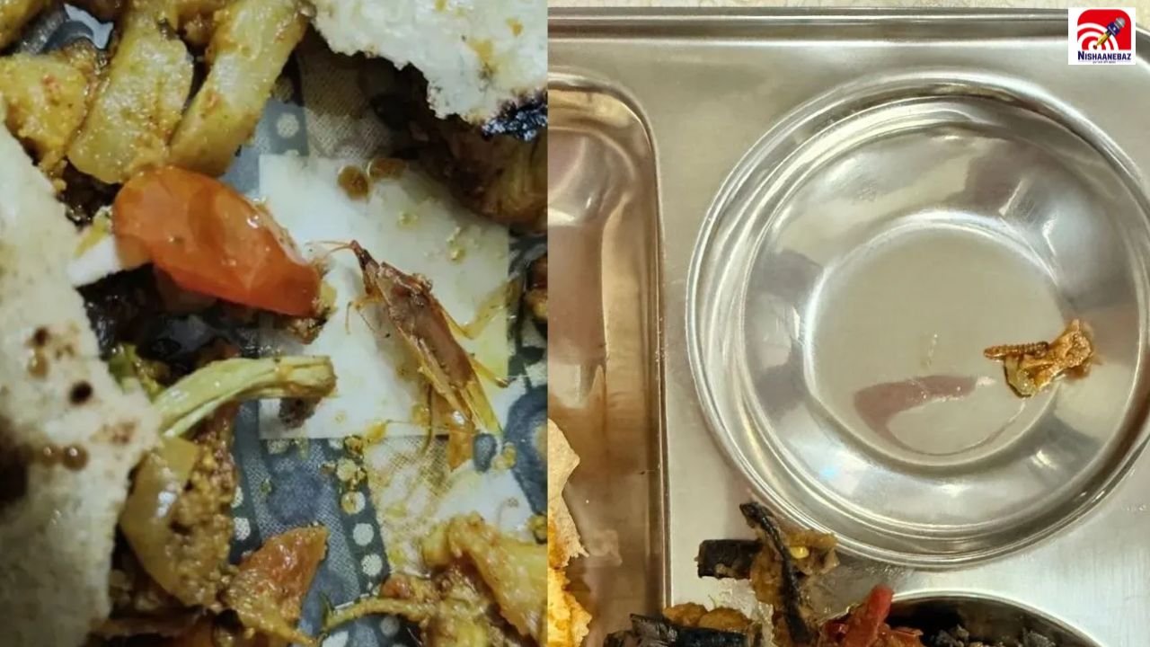 Raipur के Amity University की मेस में खाने के साथ मिल रहे कीड़े! छात्रों की शिकायत से मचा हड़कंप
