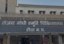 Rewa News: कुत्ते के काटने पर सांप के काटने का इंजेक्शन लगाने का आरोप, संजय गांधी अस्पताल में फिर उठे लापरवाही पर सवाल
