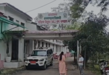 MP News: महाराष्ट्र में बच्ची की जान लेने वाला शेर बैतूल में दिखा, दाभोना में वीडियो वायरल; वन विभाग-पुलिस हाई अलर्ट