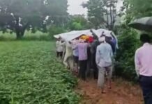 Madhya Pradesh Tikamgarh Local News Incident: टीकमगढ़ के चंदपुरा में शर्मसार करने वाली तस्वीर; कीचड़ और फिसलन के बीच शव ले जाने को मजबूर हुए परिजन