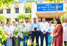NHM Employee Union Plantation: हरित पर्यावरण और कर्मचारी हित की पहल; पौधे लगाने के बाद सीएमएचओ डॉ. मिथिलेश चौधरी को सौंपा ज्ञापन; एनएचएम कर्मचारियों ने उठाई समस्याएं