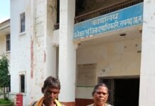 CG News: घरघोड़ा जमीन विवाद पहुंचा कलेक्टर तक, 1979 से अब तक के राजस्व रिकॉर्ड की जांच की मांग