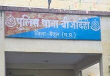 MP News: मक्का-तुअर के बीच छिपाकर उगा रहे थे गांजा, पुलिस ने 39.8 किलो पौधे किए जब्त; एक गिरफ्तार