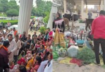 CG News: रायपुर भाठागांव में बवाल! सब्जी मार्केट हटाने पहुंची टीम से भिड़े लोग, निगम के 3 कर्मचारी घायल