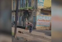 MP News: भिंड में डॉगी की बेरहमी से हत्या? वायरल वीडियो ने मचाया हड़कंप, FIR दर्ज